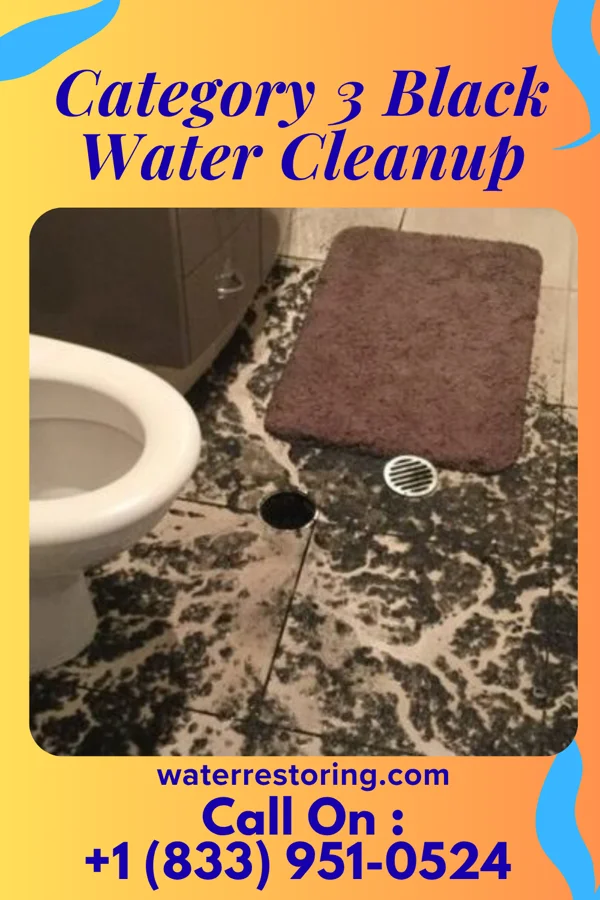Category 3 Black Water Cleanup in Buckhead Ridge, FL
